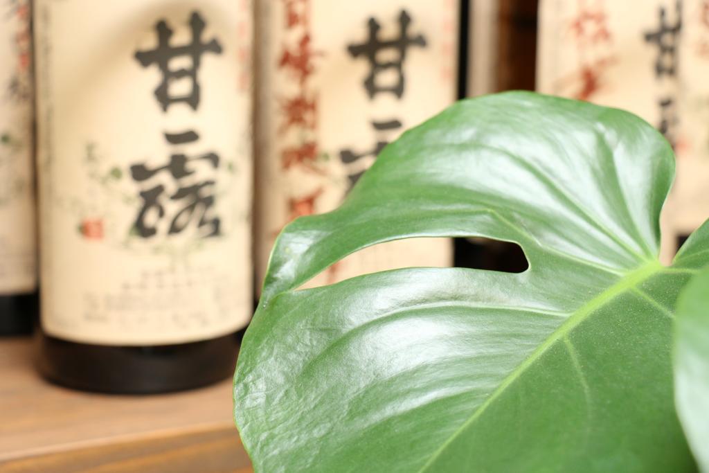 Ryokan Miharusou Hotel Nishinoomote Bagian luar foto